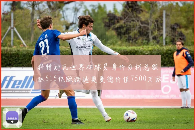 科特迪瓦世界杯球员身价分析总额达515亿欧扬迪奥曼德价值7500万欧